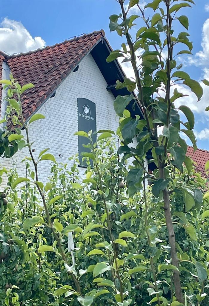 Bruiloft Jordy en Nicolien: bruiloftstyling en bloemen door Je Grote Dag bij Landgoed de Olmenhorst, Lisserbroek – foto 5