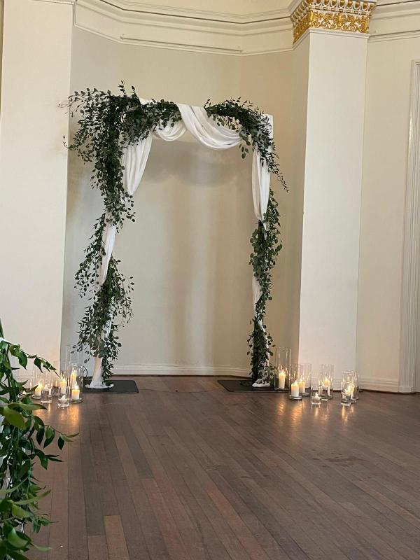 Backdrop Forest